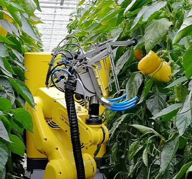 Les-robots-agricoles-autonomes